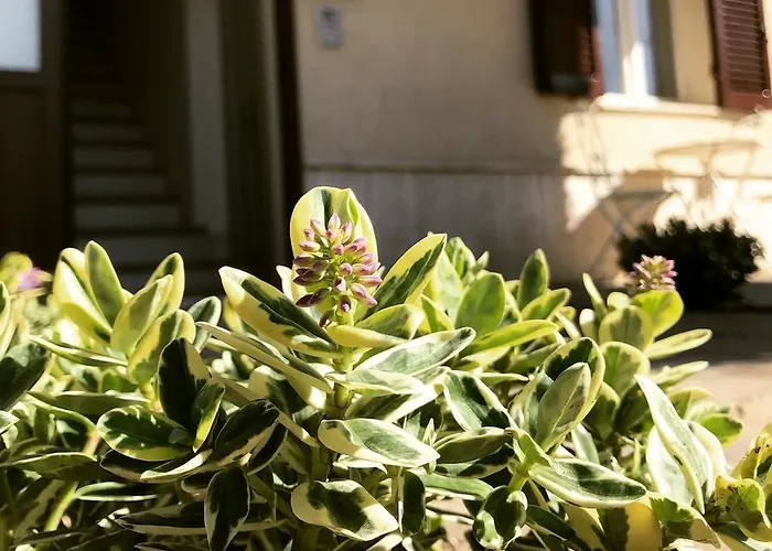 Hotel Le Campane di Assisi