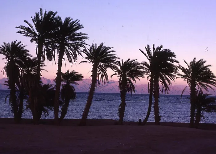 Star Of Dahab Hotel