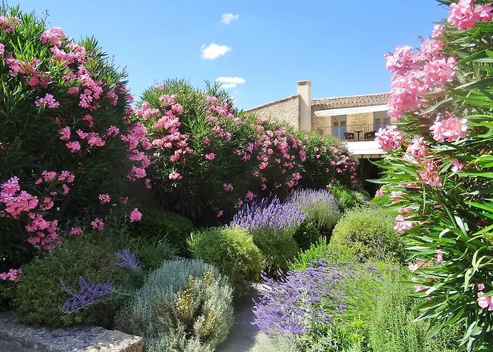 Huisdiervriedelijke Le Jas De Gordes Hotel
