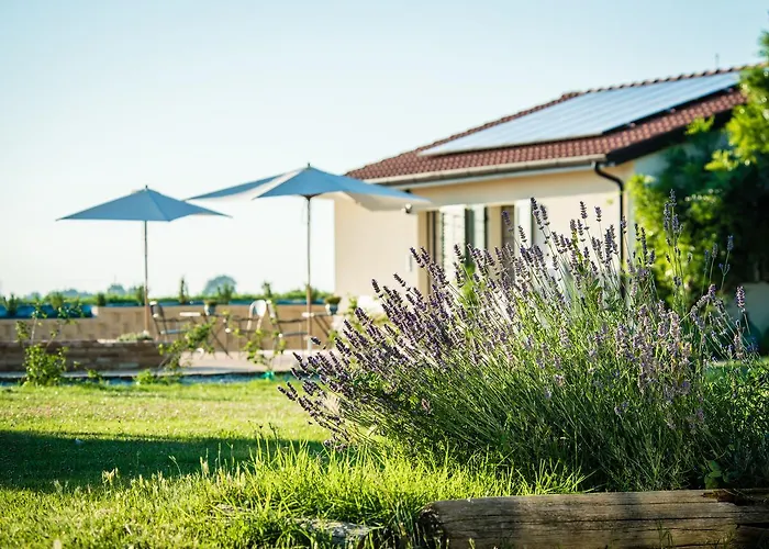 Podere Zampiera Vecchia Imola