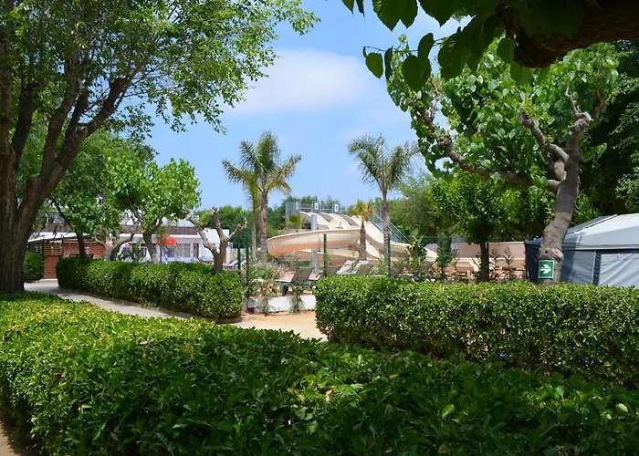 Camping Sènia Caballo de Mar Pineda De Mar
