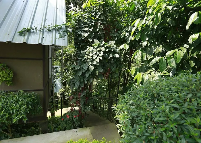 Moselberg Riverside Cottages Munnar