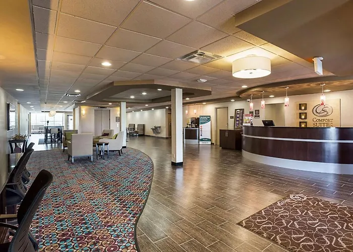 Comfort Suites University