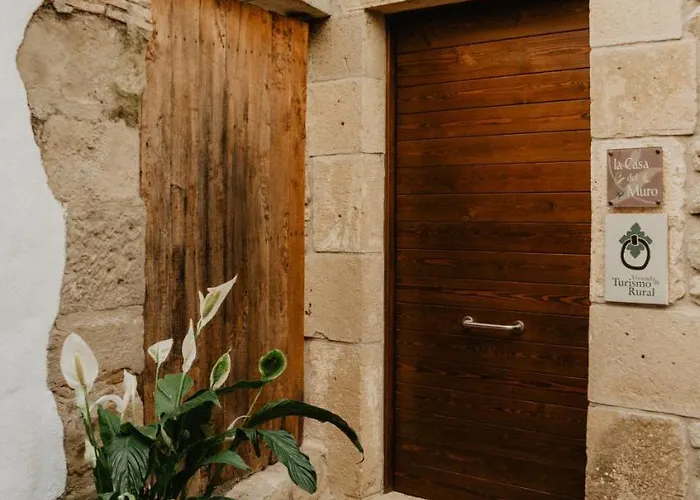 La Casa Del Muro Sos del Rey Católico
