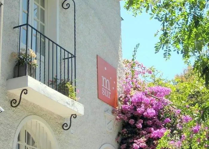 Boutique Meridiano Sur Petit Hotel Santiago
