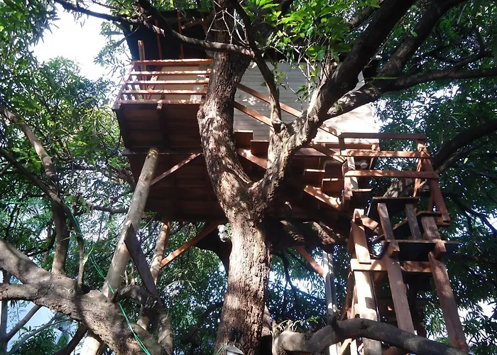 Casa na Árvore Salvador