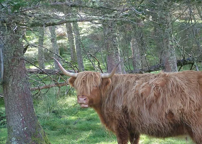 Braeside Guesthouse Oban