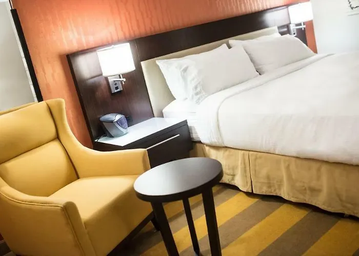 Holiday Inn Rochester Downtown