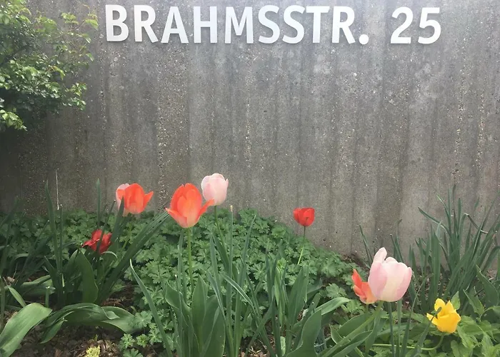 Brahms 25
