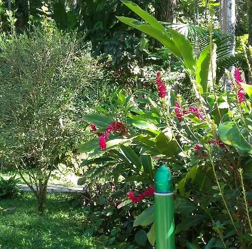 Toca da Onça Apartamento Penedo 