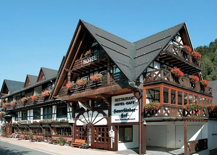 Hotel Sauerlaender Hof