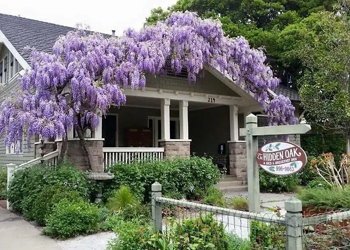 Hidden Oak Inn Sonoma
