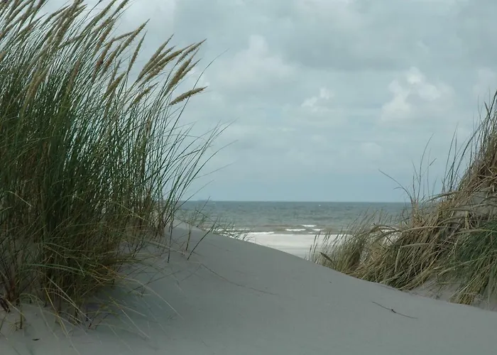 Wadzand Midsland