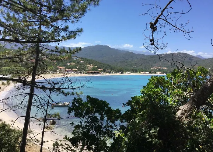 Résidence Playa Del'Oro Favone acceptant les animaux