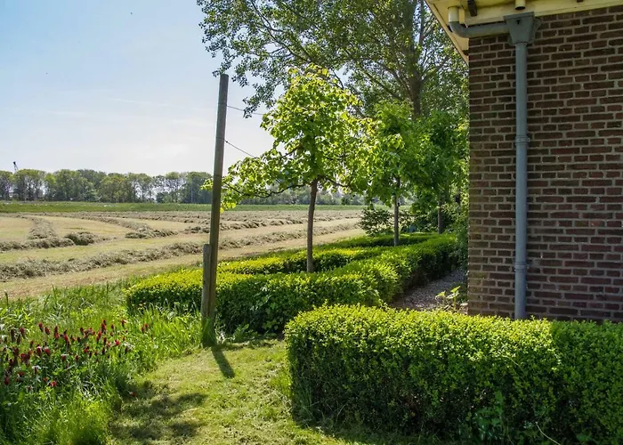 Huisdiervriedelijke Traphoeve Schagen