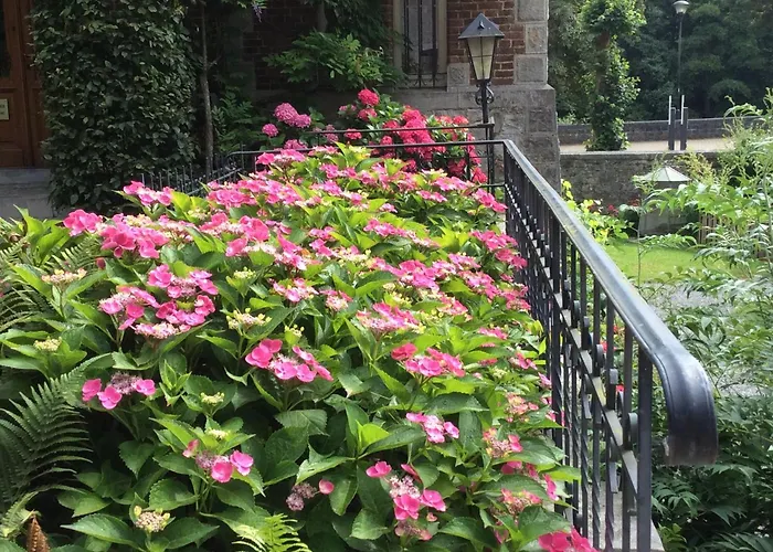 La Villa Des Roses Durbuy