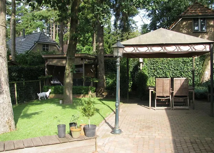 Huisdiervriedelijke Klomp Sy Huis Lunteren