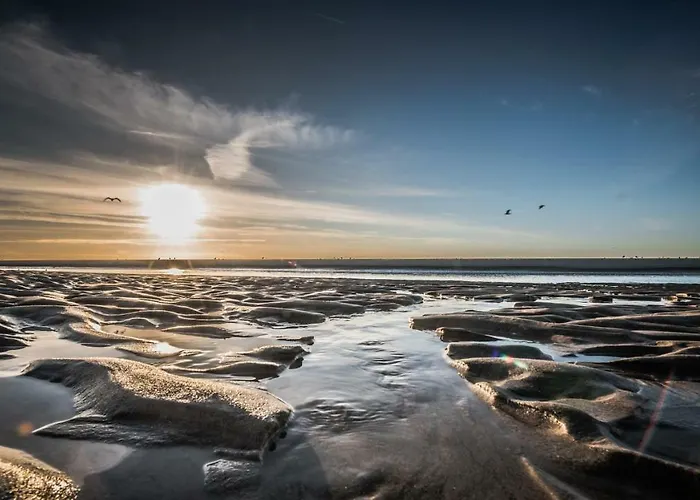 L'appart Le Touquet-Paris-Plage
