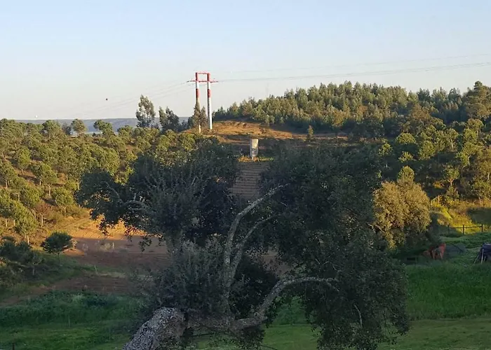 Quinta Do Caneiro - Casa Turismo Rural Vila Constância