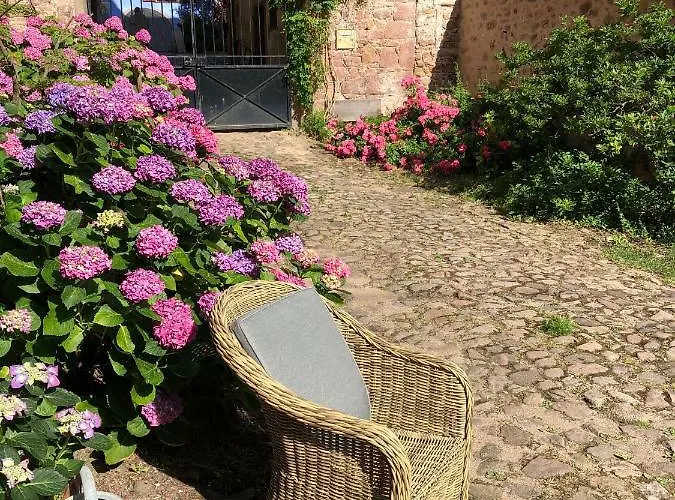Les Hortensias Riquewihr