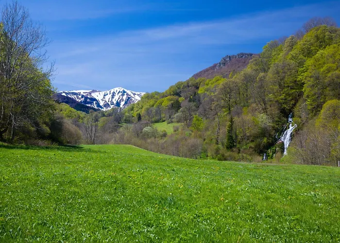 Villa La Dormeuse du Val à Chambon-sur-Lac
