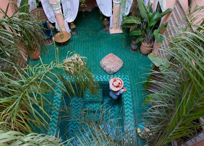 The Bohemian Jungle