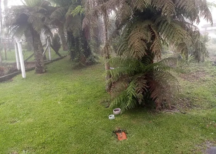 Casa 2 Quartos - Sao Bernardo São Francisco de Paula