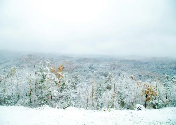 Leconte Mountain Breeze Villa Gatlinburg