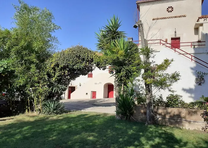 Pier Delle Vigne B&B Pineto che accetta animali