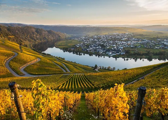 Hotel- Weingut- Moselloreley Piesport