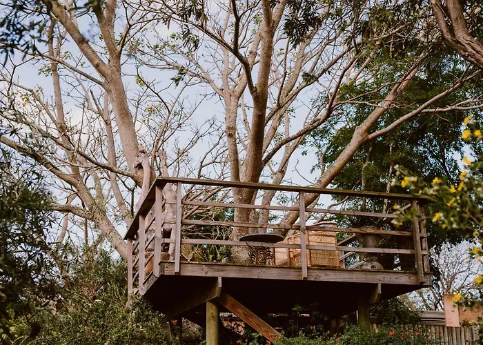 Emily Moon River Lodge Plettenberg Bay